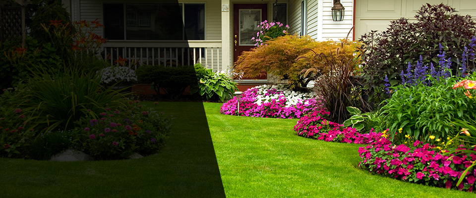 Irvine Landscapers