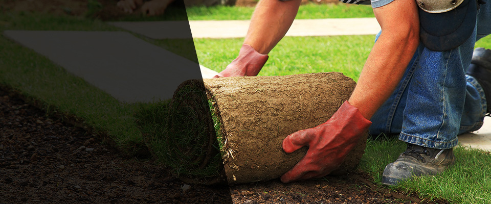 Irvine Landscapers